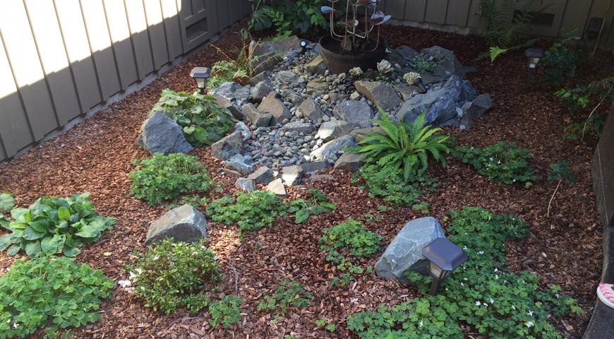 Residential landscape in Arcata