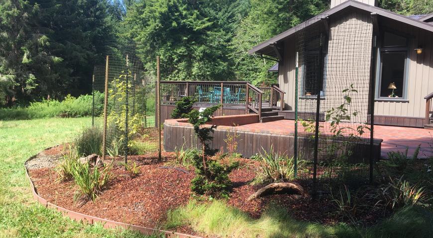 Residential landscape in Arcata