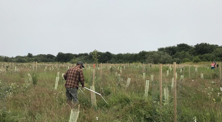 Vegetation Monitoring