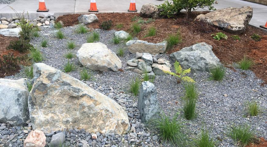 Parking lot rain garden