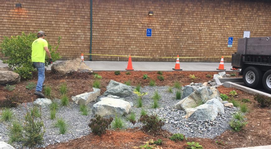 Parking lot rain garden