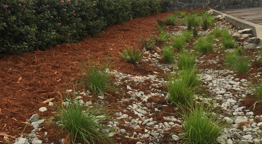 Parking lot rain garden