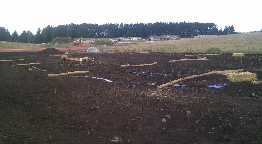 Bear River Band of the Rohnerville Rancheria’s Tish-Non Wetland Enhancement Project