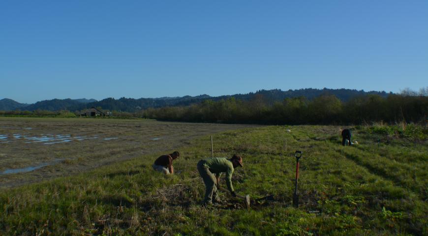 Salt River Ranch Restoration Project