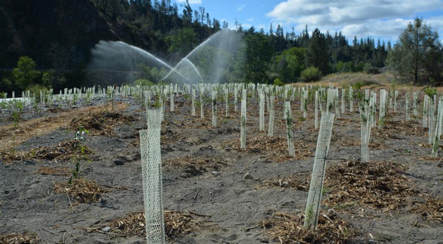 Trinity River Restoration Program