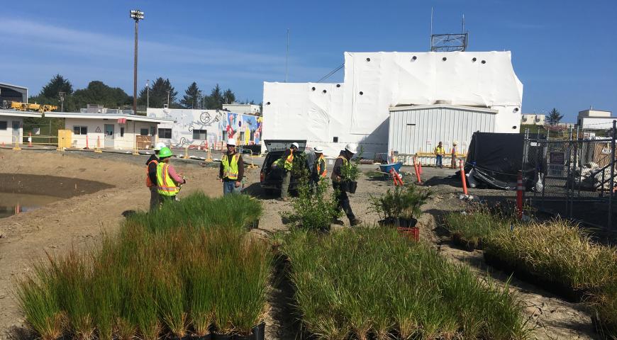 PG&E Humboldt Bay Power Plant Erosion Control Project