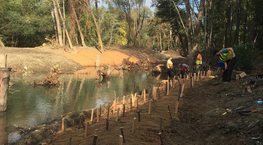 Sonoma County Water Agencies Dry Creek Habitat Enhancement Phase III Project