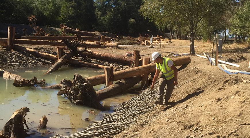 Sonoma County Water Agencies Dry Creek Habitat Enhancement Phase III Project