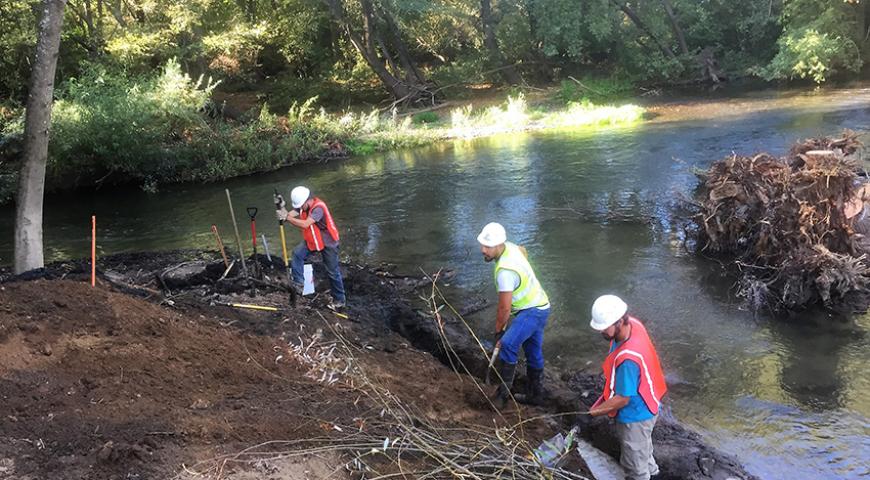 Sonoma County Water Agencies Dry Creek Habitat Enhancement Phase III Project