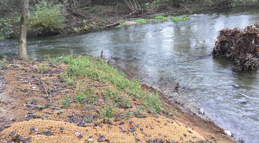 Sonoma County Water Agencies Dry Creek Habitat Enhancement Phase III Project