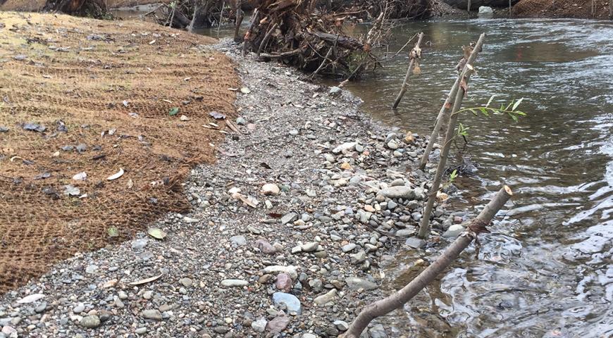 Sonoma County Water Agencies Dry Creek Habitat Enhancement Phase III Project