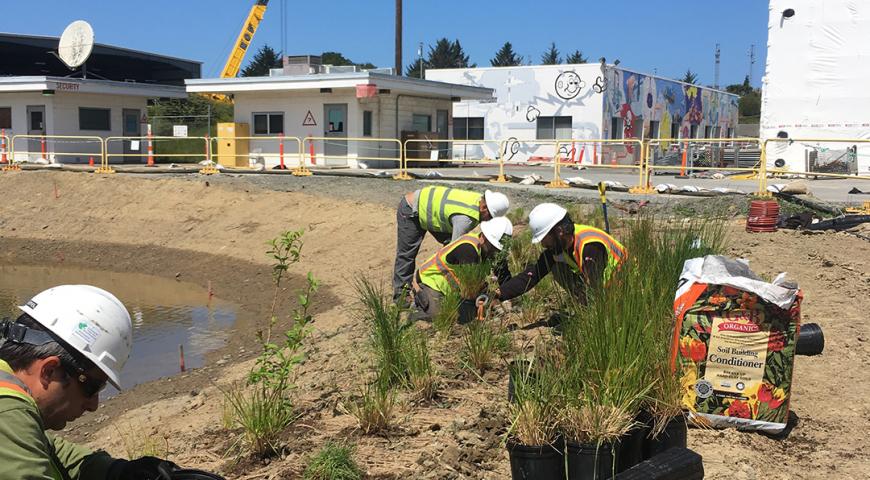 PG&E Humboldt Bay Power Plant Erosion Control Project