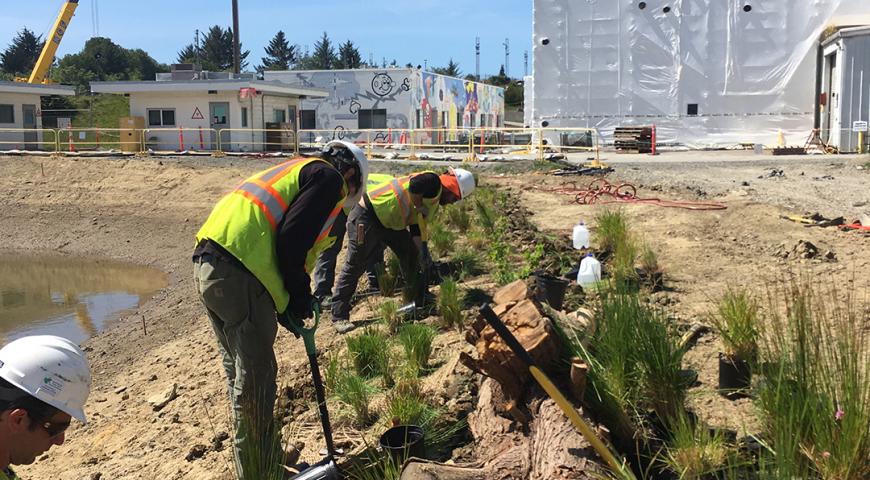 PG&E Humboldt Bay Power Plant Erosion Control Project