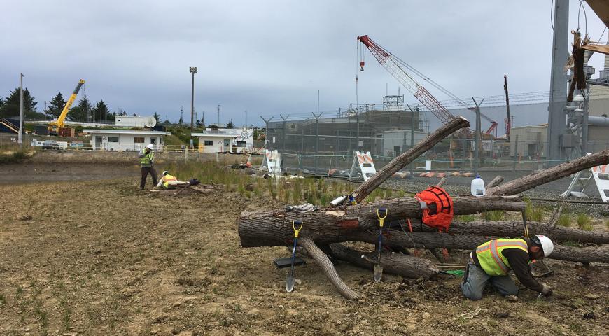 PG&E Humboldt Bay Power Plant Erosion Control Project