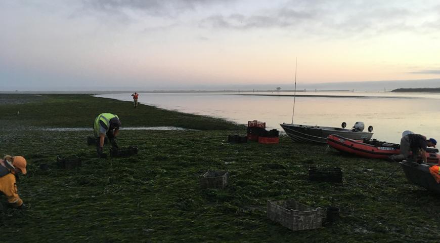 PG&E Humboldt Bay Power Plant Erosion Control Project