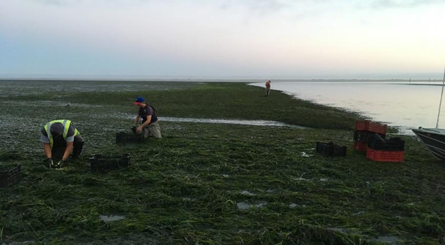 PG&E Humboldt Bay Power Plant Erosion Control Project