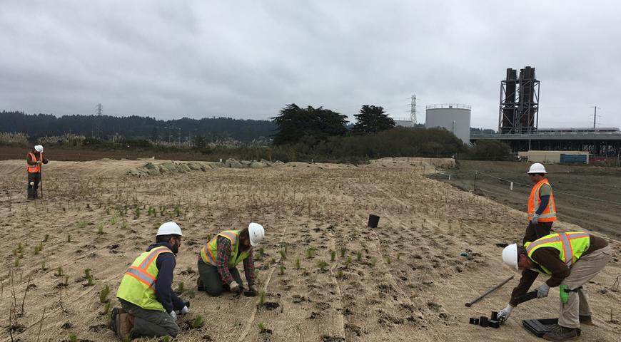 PG&E Humboldt Bay Power Plant Erosion Control Project