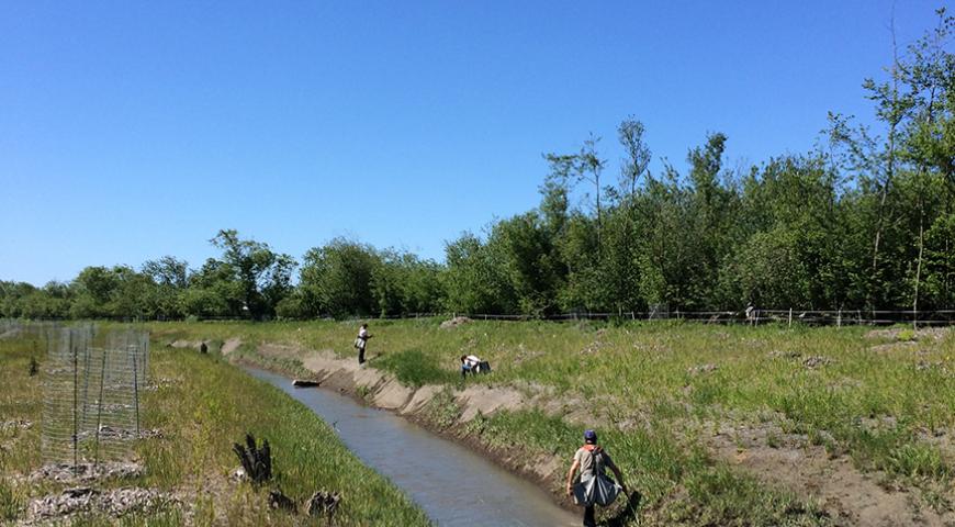 Salt River Ranch Restoration Project