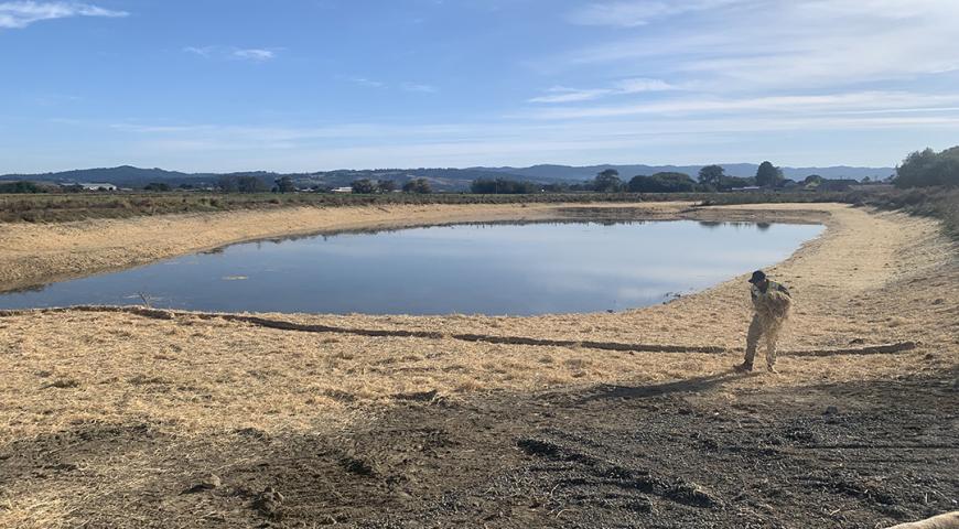 Salt River Ranch Restoration Project