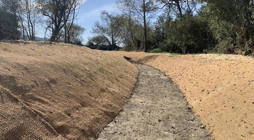 Salt River Ranch Restoration Project