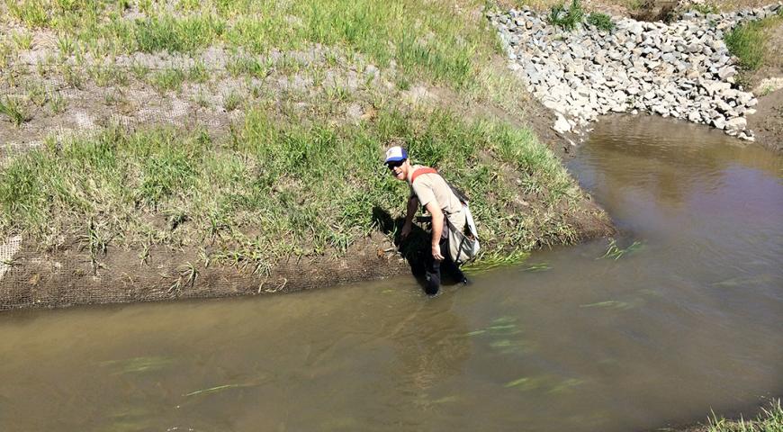 Salt River Ranch Restoration Project