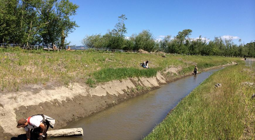 Salt River Ranch Restoration Project