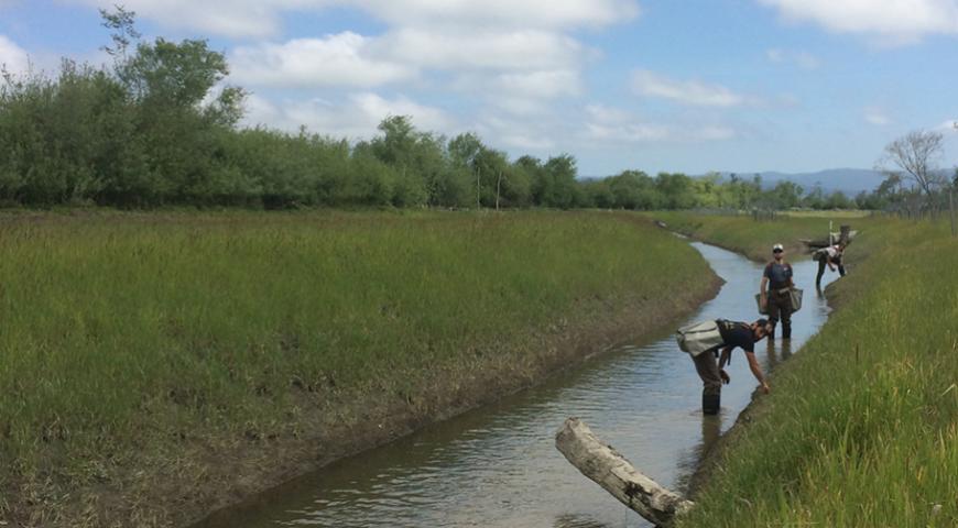 Salt River Ranch Restoration Project