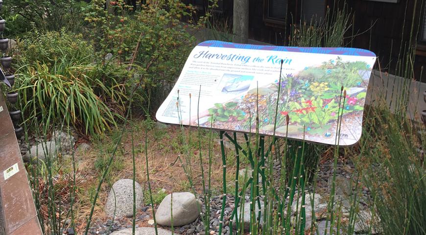 Trinidad Rancheria Rain Garden Project