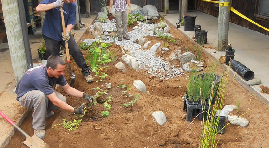 Trinidad Rancheria Rain Garden Project