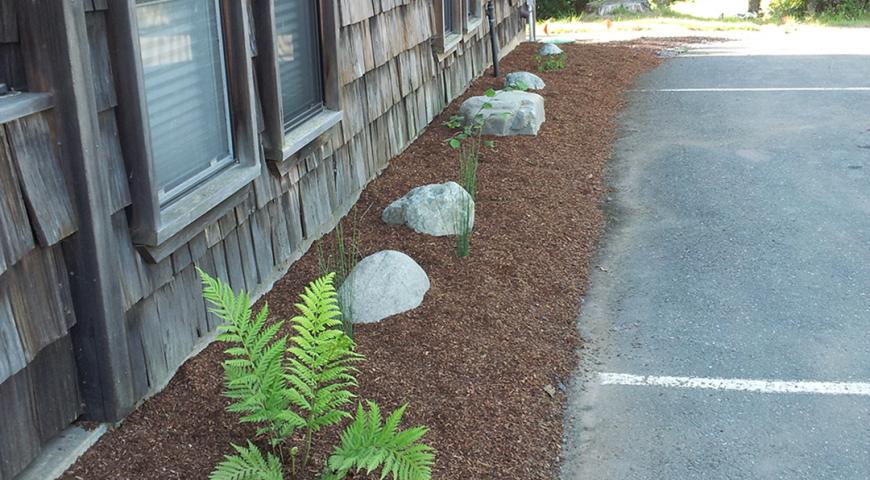 Trinidad Rancheria Rain Garden Project