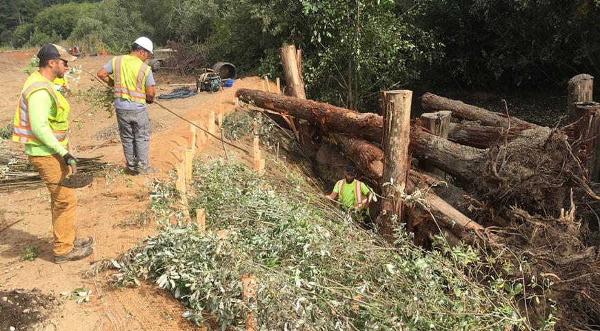 TEN MILE SOUTH FORK ENHNACEMENT PROJECT