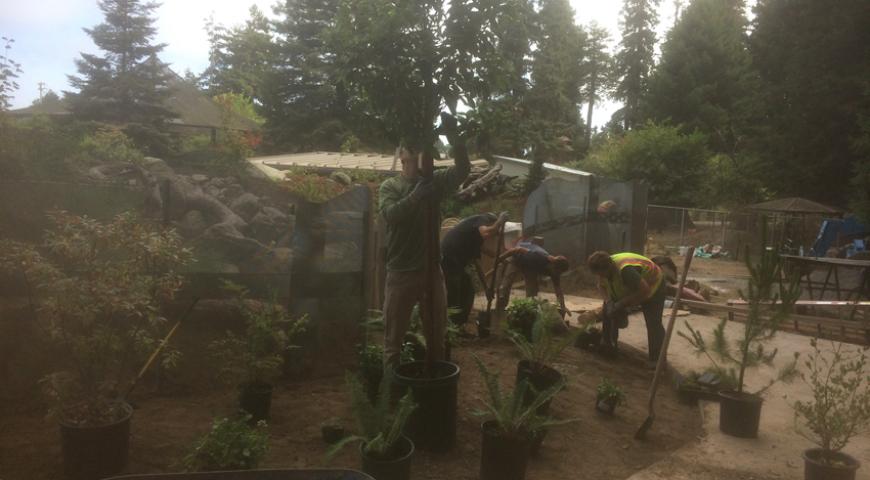 Planting outside the otter exhibit