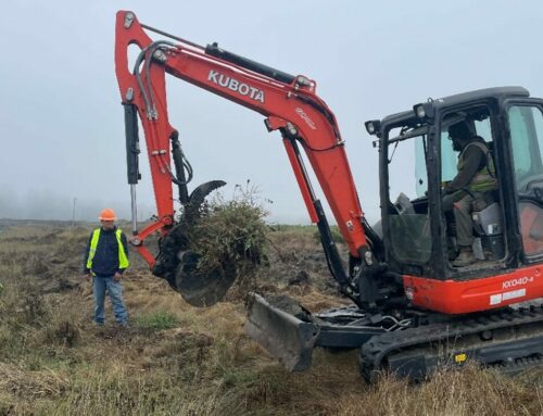 Elk River Estuary Enhancement Project